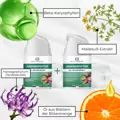 Beruhigendes Gel mit Harpagophytum (Teufelskralle): für Gelenke, chronische Entzündungen, Arthrose, Rückenschmerzen und Muskelverspannungen – 1+1