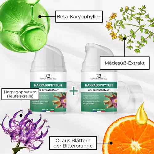 Beruhigendes Gel mit Harpagophytum (Teufelskralle): für Gelenke, chronische Entzündungen, Arthrose, Rückenschmerzen und Muskelverspannungen – 1+1