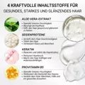 KOMPLETTES PROTEIN- UND SEIDEN-THERAPIE-SET XXL KOMPLETTES PROTEIN- UND SEIDEN-THERAPIE-SET XXL