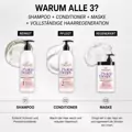 KOMPLETTES PROTEIN- UND SEIDEN-THERAPIE-SET XXL KOMPLETTES PROTEIN- UND SEIDEN-THERAPIE-SET XXL